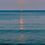 Bali 404 Ларнака