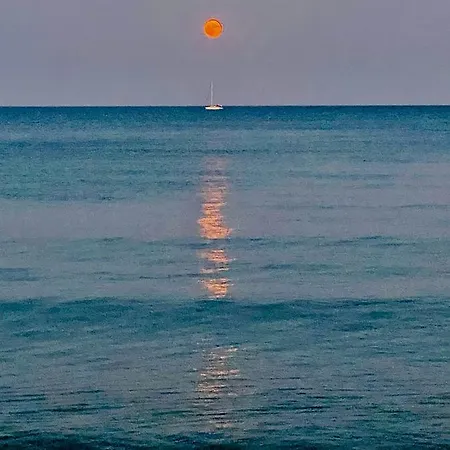 Bali 404 Larnaca