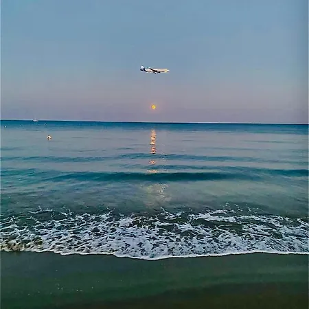 Bali 404 * ラルナカ