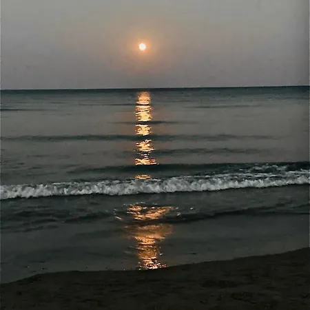 Bali 404 * ラルナカ