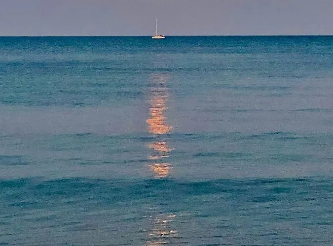 Bali 404 Λάρνακα